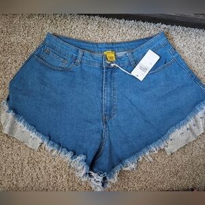 Daisy Blue Frayed Jean Shorts With Sparkle  Front Attachments